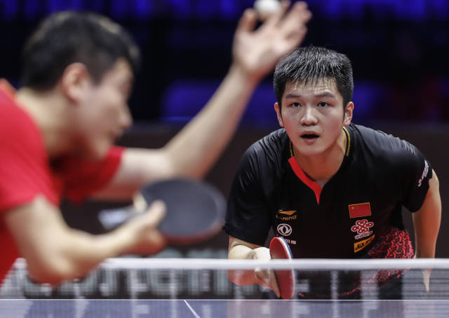 迅速建立起 迅速建立起