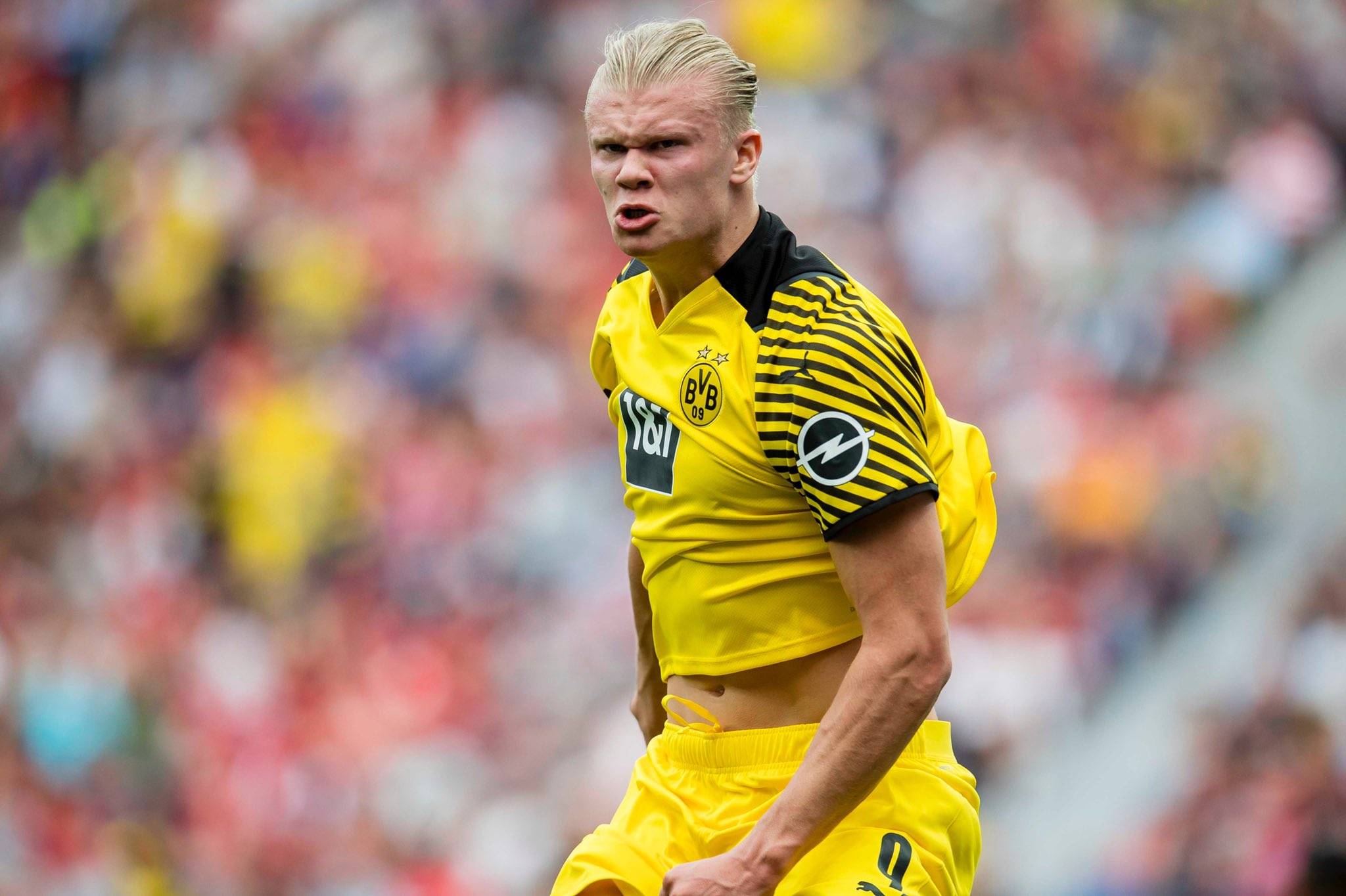 第一步反应 第一步反应