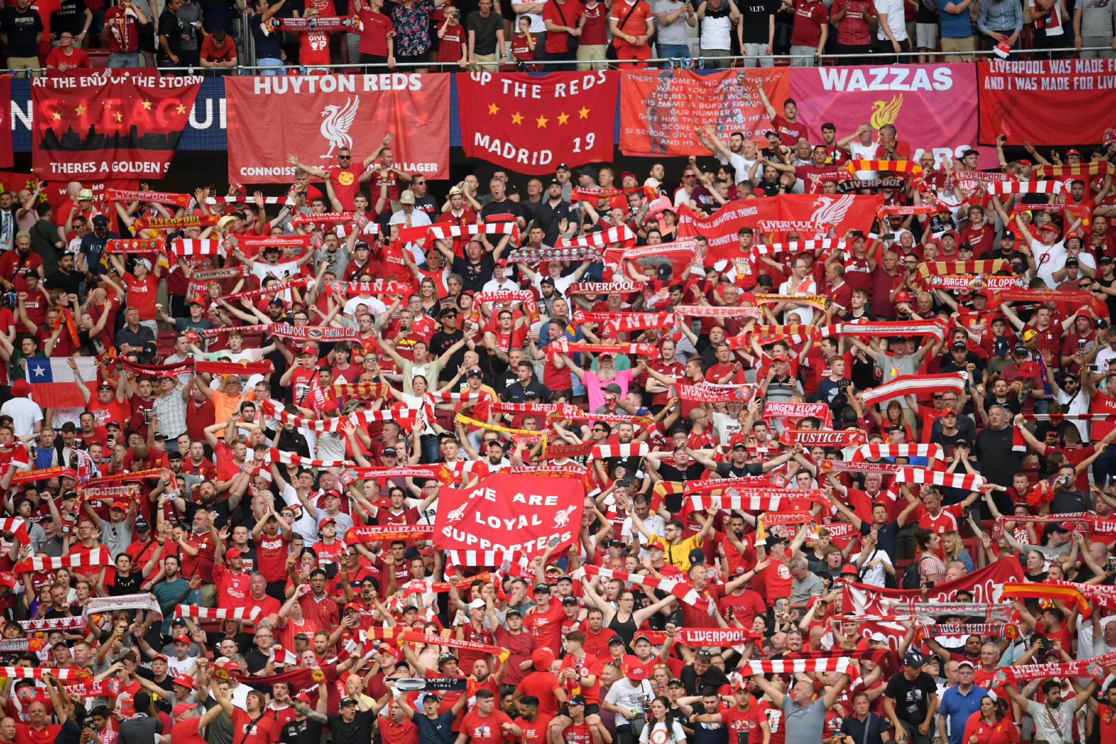 能降低学习 能降低学习